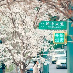 花之林(湘中大道店) User Photo