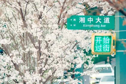 花之林人文茶馆(湘中大道店)