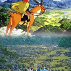 貴州師範學院張用戶圖片