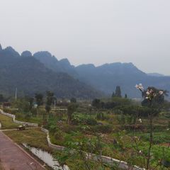 门溪山居·镜岭味道 User Photo