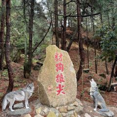 家朋土菜馆 User Photo
