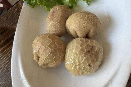 蒙古艾利奶茶馆