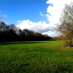 The Delhi Restaurant User Photo