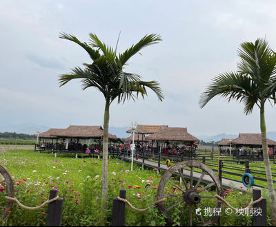 Mengding South Asia Folk Customs Tourist Zone