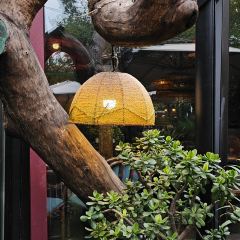 Mala's Garden User Photo