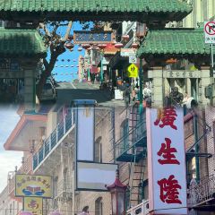 Tatte Bakery & Cafe User Photo