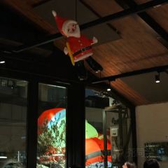 Mr Willis User Photo