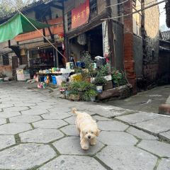 月英凉粉(西街店) User Photo