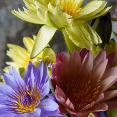 哈尼人家 User Photo