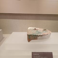 苏苏靖远羊羔肉总店 여행 사진