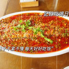 功夫鱼庄 User Photo