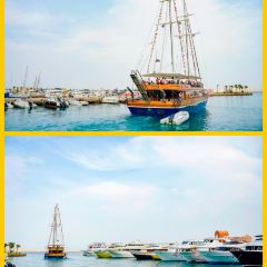 Star Fish Restaurant User Photo