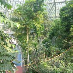 小隱圍屋張用戶圖片