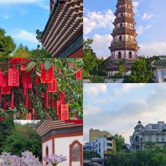 龙乡楼 User Photo