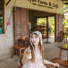 Elefin Farm & Cafe เอเลฟิน ฟาร์ม แอนด์ คาเฟ่ User Photo