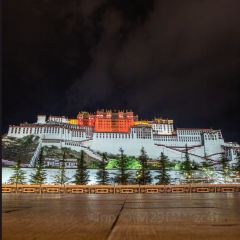 钟阿姨手工酸奶 User Photo