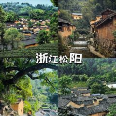 老鲍农家乐 User Photo