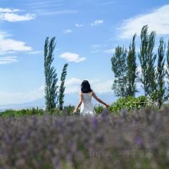 晃晃咖啡 User Photo
