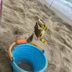 椰州1号泰餐厅(三亚海棠湾万丽度假酒店) User Photo