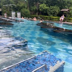 河阳鱼馆(凤凰店) User Photo