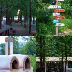 閱味草堂張用戶圖片