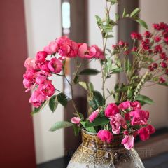 Abuluzicang Restaurant (jiuzhaigou) User Photo