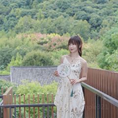 SEN Cuisine User Photo