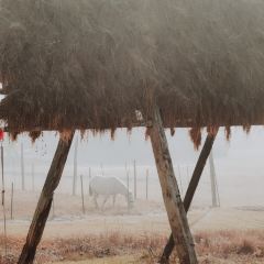 黑豆咖啡屋 User Photo