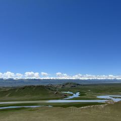 草原羊羔肉 User Photo