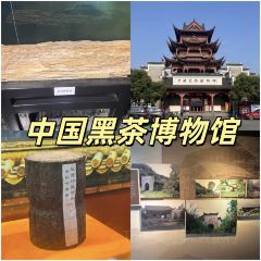 SHANGXILEICHA User Photo