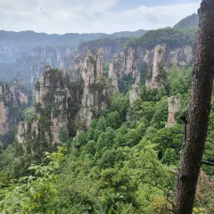 老王三下锅 User Photo