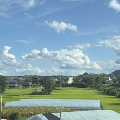 蒋记龍府大竹签烤肉(亿丰国际店) User Photo