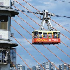 十八梯邓凳面(解放碑总店) User Photo