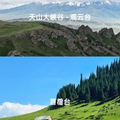 ZHENG FEI DAIRY User Photo