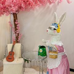 Xiang Yue Chinese Restaurant and Bar User Photo