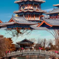 潁陽水席張用戶圖片