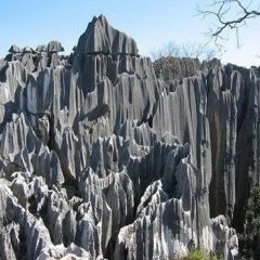 River view Restaurant User Photo