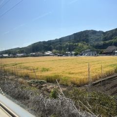 Aonodokutsu User Photo