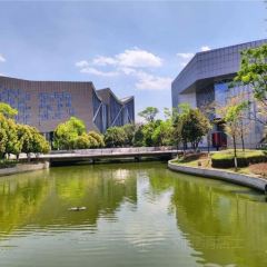 Zhan yi gong shi la zi Chicken (zhan yi) User Photo