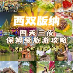 老波涛傣味烧烤 User Photo