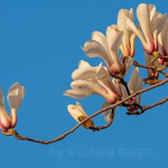 临福山庄 ảnh của người dùng