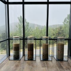 Runaway Cow Canton 8 User Photo