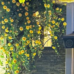 全鸭季·得月·福建菜·北京烤鸭(上下杭店) User Photo