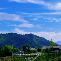 中旅ClubMed JV 安吉度假村·吉餐厅 User Photo