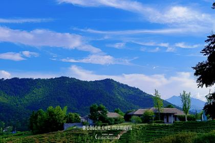 中旅ClubMed JV 安吉度假村·吉餐厅