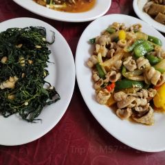 Songjihaixiandapaidang 여행 사진