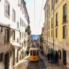 A BRASILEIRA DO CHIADO User Photo