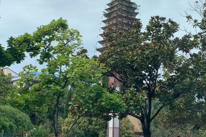 左家村休闲农庄