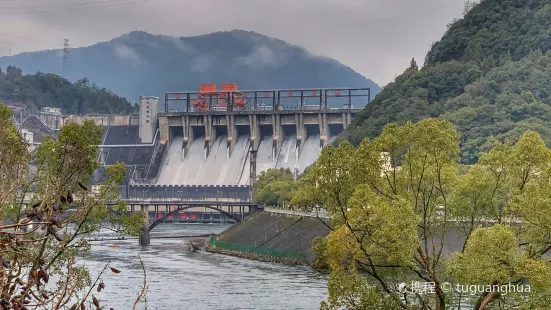 阿根酒楼·有机鱼馆·山野土菜馆(千岛湖店)