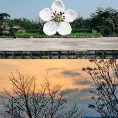 老梨园农庄 여행 사진